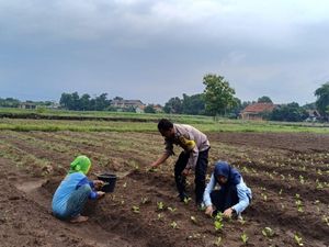 Aiptu Suwendi Sosok di Balik Kemandirian Pangan Warga Desa Megu Gede Cirebon