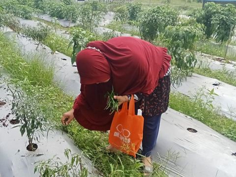 Aiptu Suwendi bina warga untuk ketahanan pangan di Cirebon