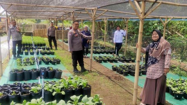 Aiptu Suwendi bina warga untuk ketahanan pangan di Cirebon