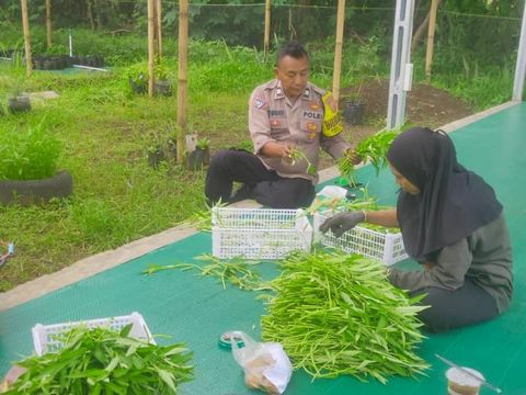 Aiptu Suwendi bina warga untuk ketahanan pangan di Cirebon