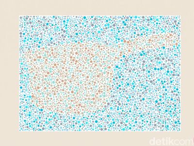 Tebak Siluet Gambar, Kalau Sulit Terlihat Coba Cek Penglihatan Warnamu