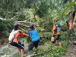 Akses Tasik-Pangandaran via Karangjaya Putus Diterjang 10 Titik Longsor