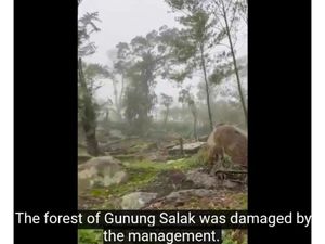 Gunung Salak Menangis, Yuddy Chrisnandi Desak Prabowo Turun Tangan