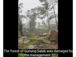 Gunung Salak Menangis, Yuddy Chrisnandi Desak Prabowo Turun Tangan