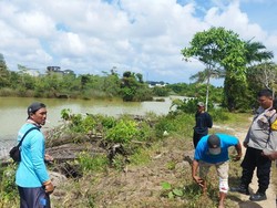 Warga Bangka Barat Nyaris Tewas Usai Diterkam Buaya di Lokasi Eks Tambang