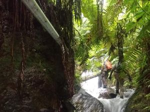 Yasid Pendaki Tewas di Bukit Mongkrang Diduga Tersesat karena Kabut