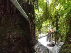 Yasid Pendaki Tewas di Bukit Mongkrang Diduga Tersesat karena Kabut