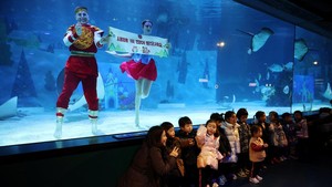 Meriahnya Akuarium Seoul Saat Menyambut Imlek