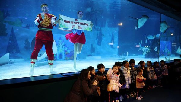 Meriahnya Akuarium Seoul Saat Menyambut Imlek