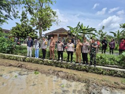 Dukung Program Pemerintah, Polda Jateng Kembangkan Padi Japonica Tarabas