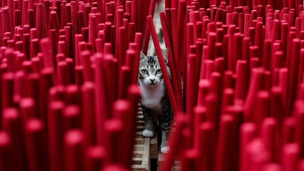 Produksi Dupa Meningkat Jelang Imlek