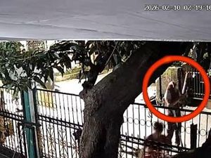 Remaja Diduga Bawa Senpi Saat Tawuran di Makassar, Polisi: Senjata Mainan