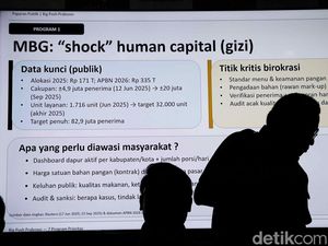 Strategi Big Bang-Big Push Dinilai Jadi Arah Kebijakan Prabowonomics