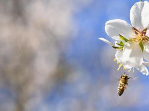 Bisnis Dunia Bikin Alam Sekarat, Kemakmuran Merosot
