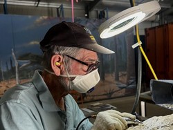 Dunia Hari Ini: Ilmuwan Warga Mengerjakan Fosil 100 Juta Tahun di Australia