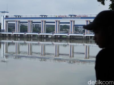 Kebakaran Gudang Picu Pencemaran Sungai Cisadane, Ikan Mati Mengapung