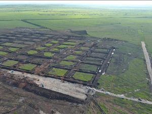 KKP Mulai Pembangunan Kawasan Tambak Udang Terintegrasi di Waingapu