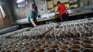 Kue Keranjang Laris Manis, Produksi di Solo Tembus Ratusan Kilogram