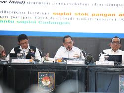 Tito Sebut Pemulihan Listrik di Sumatera Tunjukan Progres Signifikan