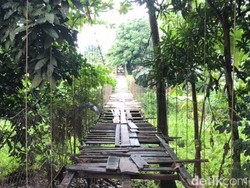 Penampakan Horor Jembatan Gantung Rapuh Sebabkan Korban Jiwa di Palopo