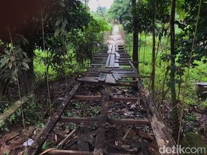 Jembatan Gantung Rapuh di Palopo Berusia 10 Tahun, Kayu Lapuk-Makan Korban