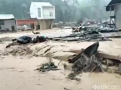 Video Banjir Bandang Kembali Terjang Tapteng, Bawa Material Kayu