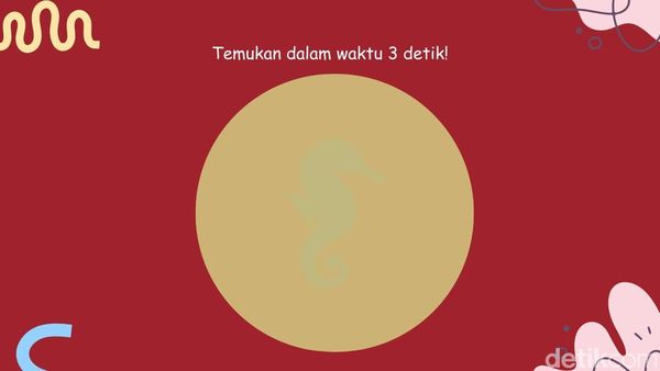 Tes Ketajaman Mata, Bisa Tebak Gambar Hewan Air Tersembunyi?