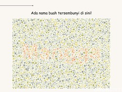 Tebak Kata Apa yang Ada di Gambar Ini? Kalau Tidak Buta Warna Pasti Gampang