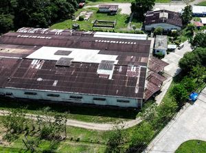 Faber-Castell Protes Pabrik Pensil yang Dihibahkan Malah Jadi Penjara Imigran