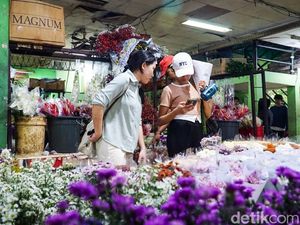 Valentine di Pasar Bunga Rawa Belong: Berburu Bunga & Suasana Beda