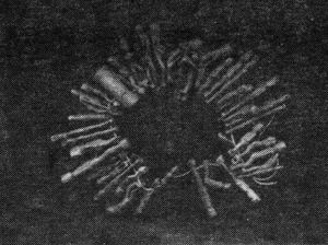 Patung Penyang dalam Budaya Dayak, Penangkal Niat Jahat dari Musuh