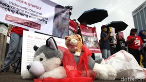 Pecinta Kucing dan Anjing Demo ke DPR