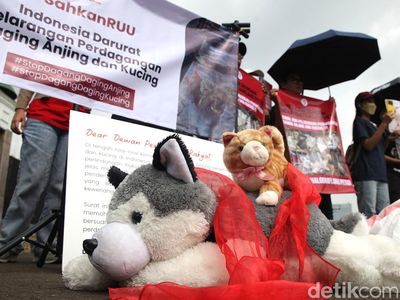 Pecinta Kucing dan Anjing Demo ke DPR