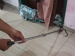 Warga Boyolali Dilarikan ke Puskesmas Setelah Digigit Anakan Kobra