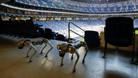 Teknologi Canggih, Anjing Robot K9-X Disiapkan Amankan Piala Dunia 2026