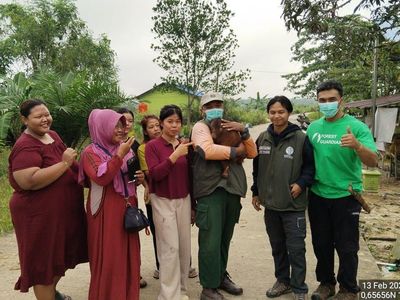 Pelukan untuk Panji, Bayi Orang Utan yang Nyasar ke Pekarangan Orang