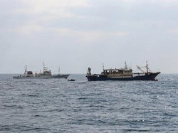 Bersitegang, Jepang Sita Kapal Penangkap Ikan Asal China