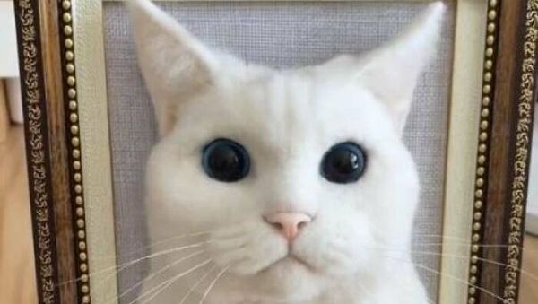 Karya Seni Patung Luar Biasa yang Membuktikan Jeniusnya Kreativitas Manusia