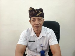 Sebulan, 700 Warga Jembrana Digigit Hewan Penular Rabies