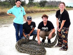 Bak Film Laga, Satu Keluarga Duel Lawan Ular Piton Raksasa