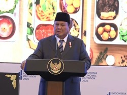 Prabowo Minta ke Rosan Cuan Danantara 7%: Kok Siapnya Kurang Tegas?