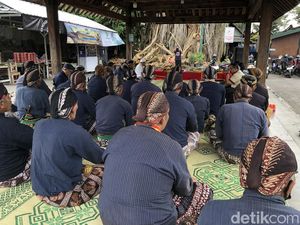 Pohon Beringin Tua Masjid Kotagede 2 Kali Ambruk, Abdi Dalem Gelar Sugengan
