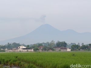 Gunung Semeru Luncurkan Awan Panas Guguran Sejauh 6 Km