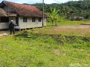Kematian Tragis Lani di Sawah Sukabumi