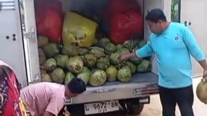 Viral Menu MBG Lele Mentah hingga Kelapa Utuh, Standar Gizi Disorot Pakar
