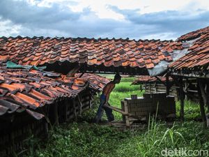 Menjaga Bara Terakhir Lio Cibarusah