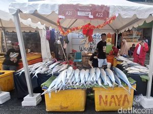 Banjir Cuan Penjualan Bandeng Jelang Imlek