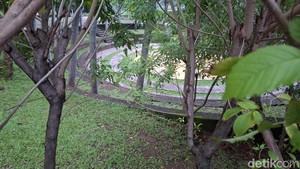 Taman Delonix, Hidden Gem di Jaktim, Tinggalan Anies Baswedan