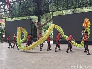 Libur Imlek, Taman Safari Bogor Gelar Parade Barongsai, Dipadati Wisatawan Jakarta