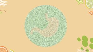 Tes Ketajaman Saraf Mata, Bisa Temukan Gambar Tersembunyi?